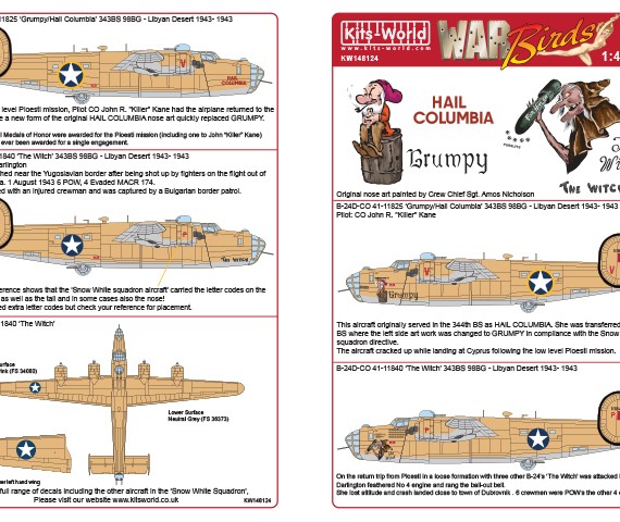 Consolidated B-24D Liberator - "Grumpy / Hail Columbia & The Witch"