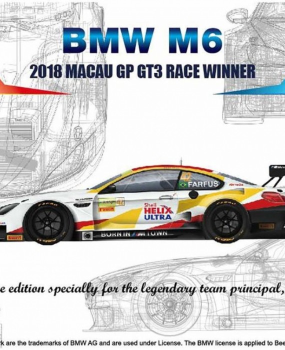 BMW M6 - 2018 Macau GP GT3 Race Winner