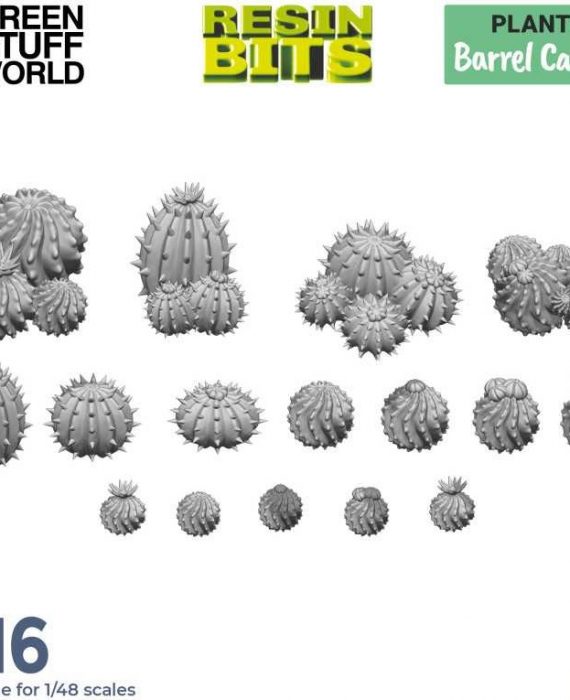 Barrel Cactus x 16Pcs