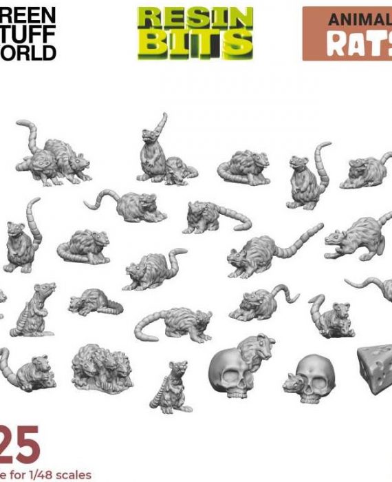 Small Rats x 25Pcs