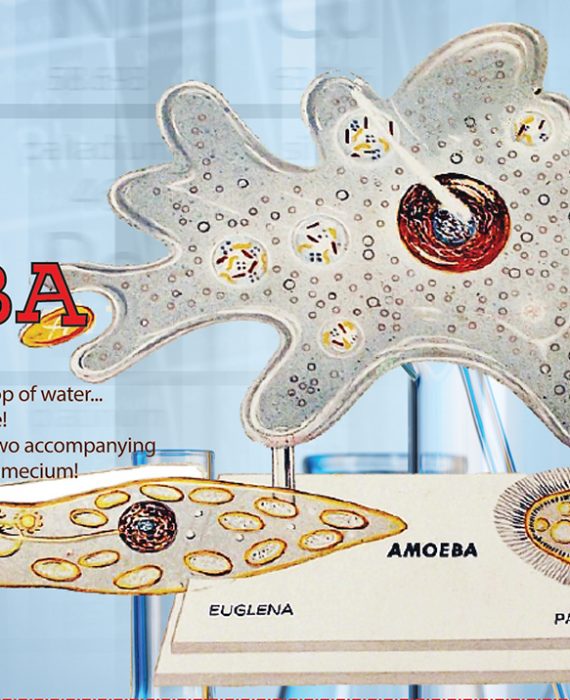 The Amoeba Single Cell Kit