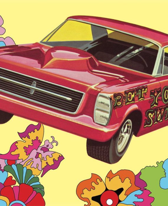 '1966 Ford Galaxie :Sweet Bippy"